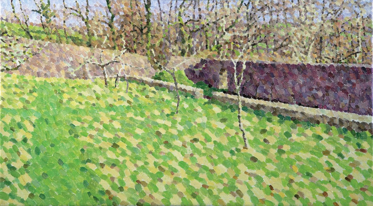 Orchard in Winter Sun, 2011 (Olie on Canvas) af William Wilkins