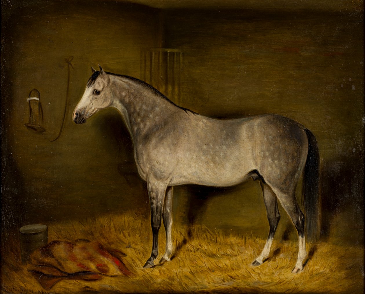 Arabisk hest i en løs æske, ca. 1860 (olie på lærred) af William Williams