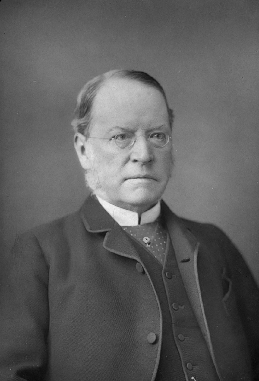 Lyon Playfair, skotsk kemiker og politiker, 1890-1894 af William and Daniel Downey