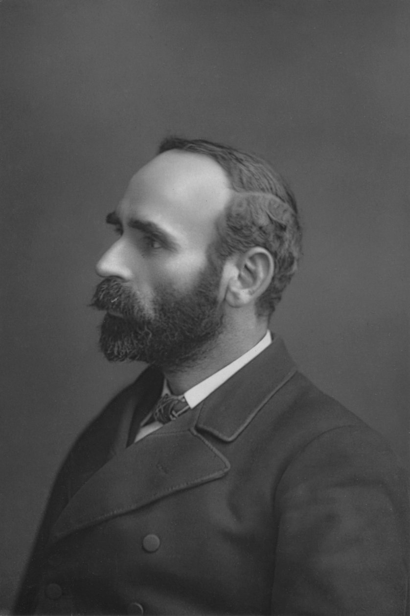 Hr. Michael Davitt, c1891 af William and Daniel Downey