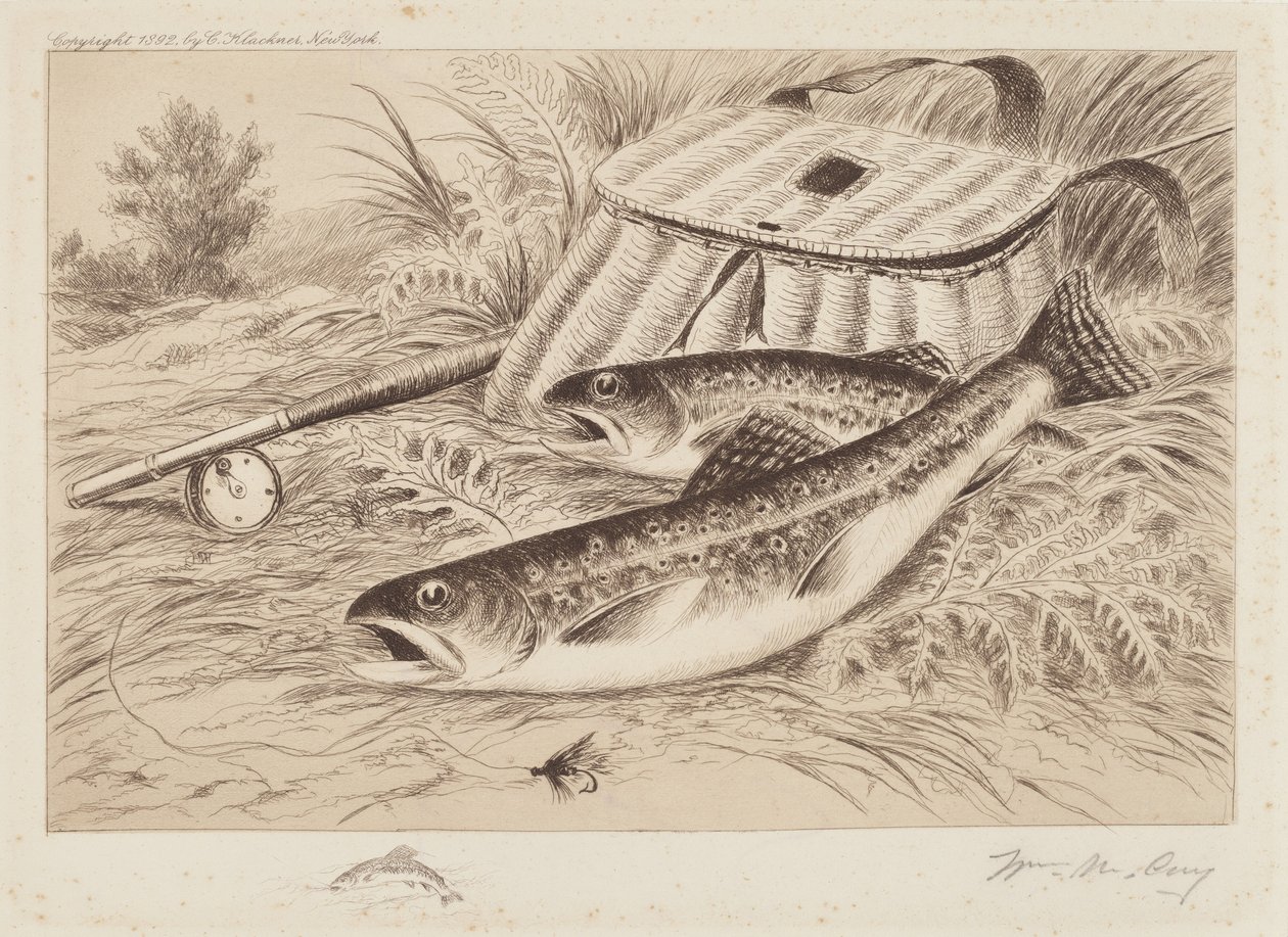 En god fangst af William de la Montagne Cary