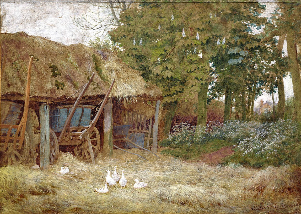 Ænder, 1880 (wc med karosserifarve på papir) af Wilmot Pilsbury