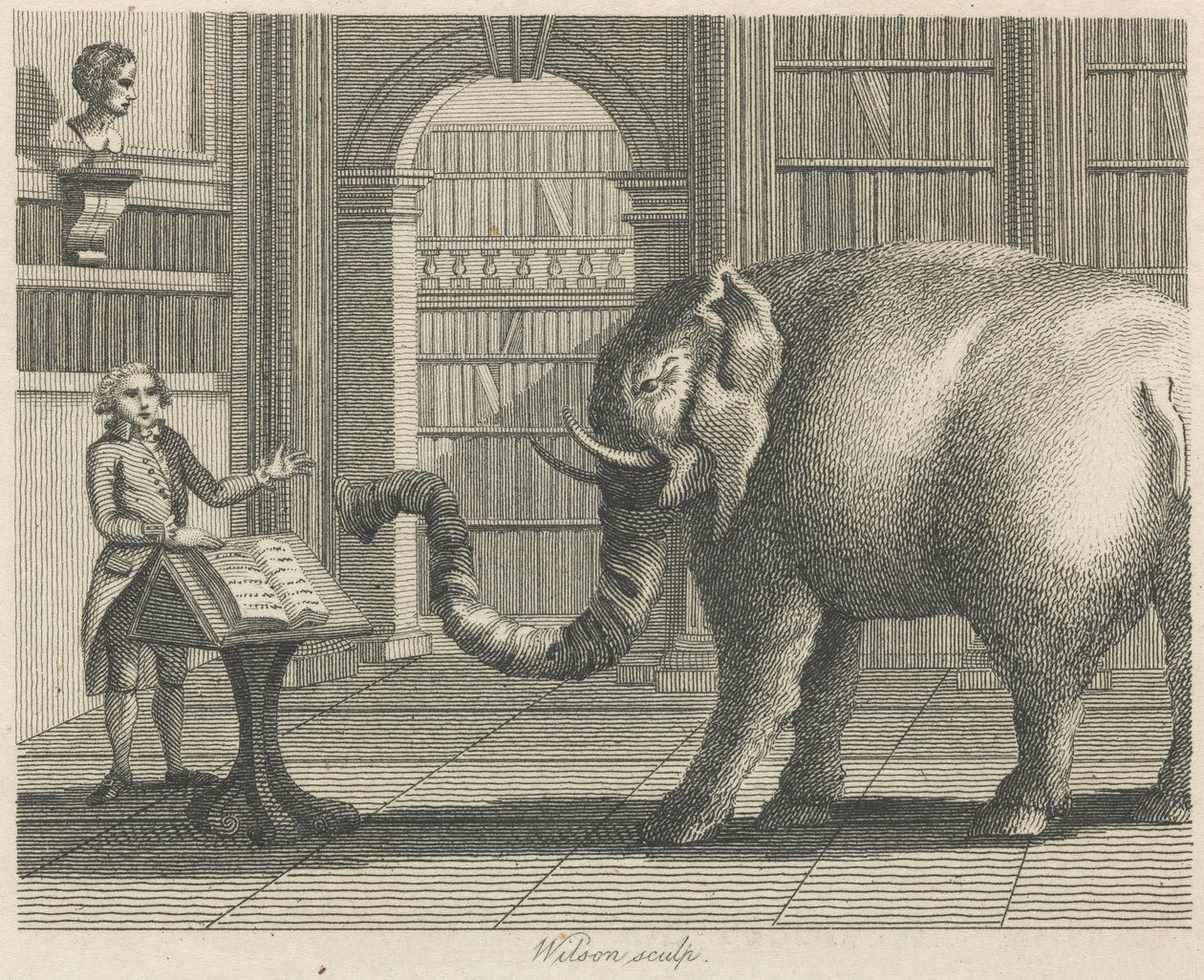 Elefanten og Boghandleren af Wilson