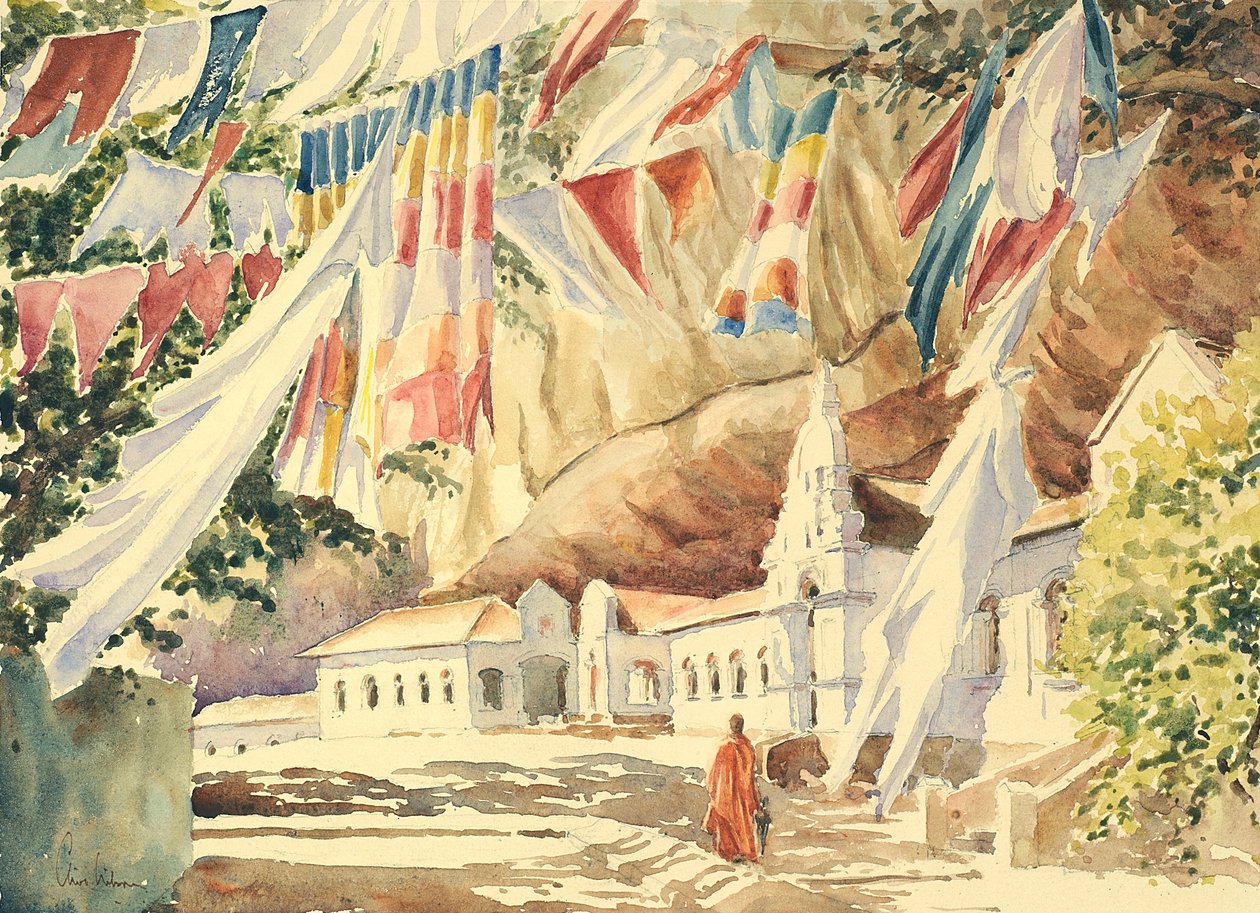 748 Bedeflag, Dambulla af Wilson Clive