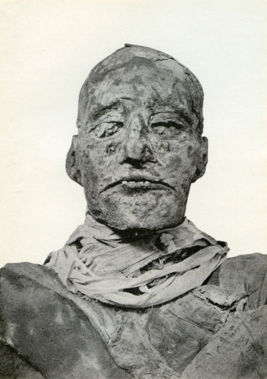 Leder af Rameses III
