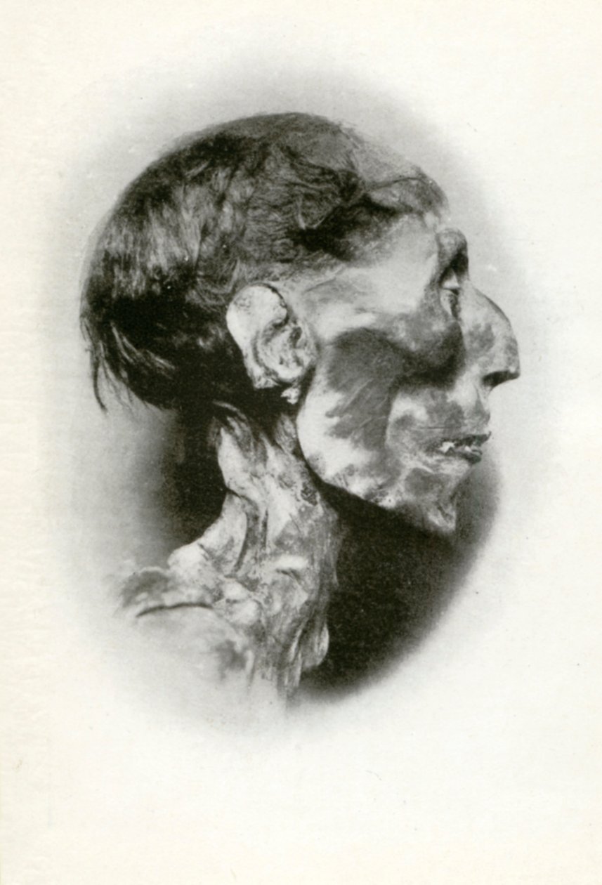 Leder af Ramses II