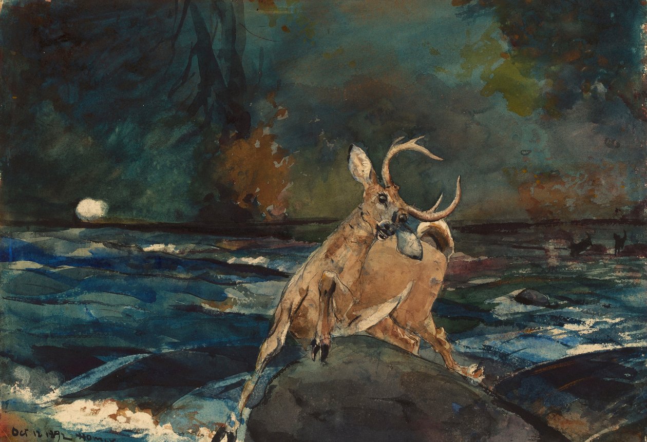 Et godt skud, Adirondacks af Winslow Homer