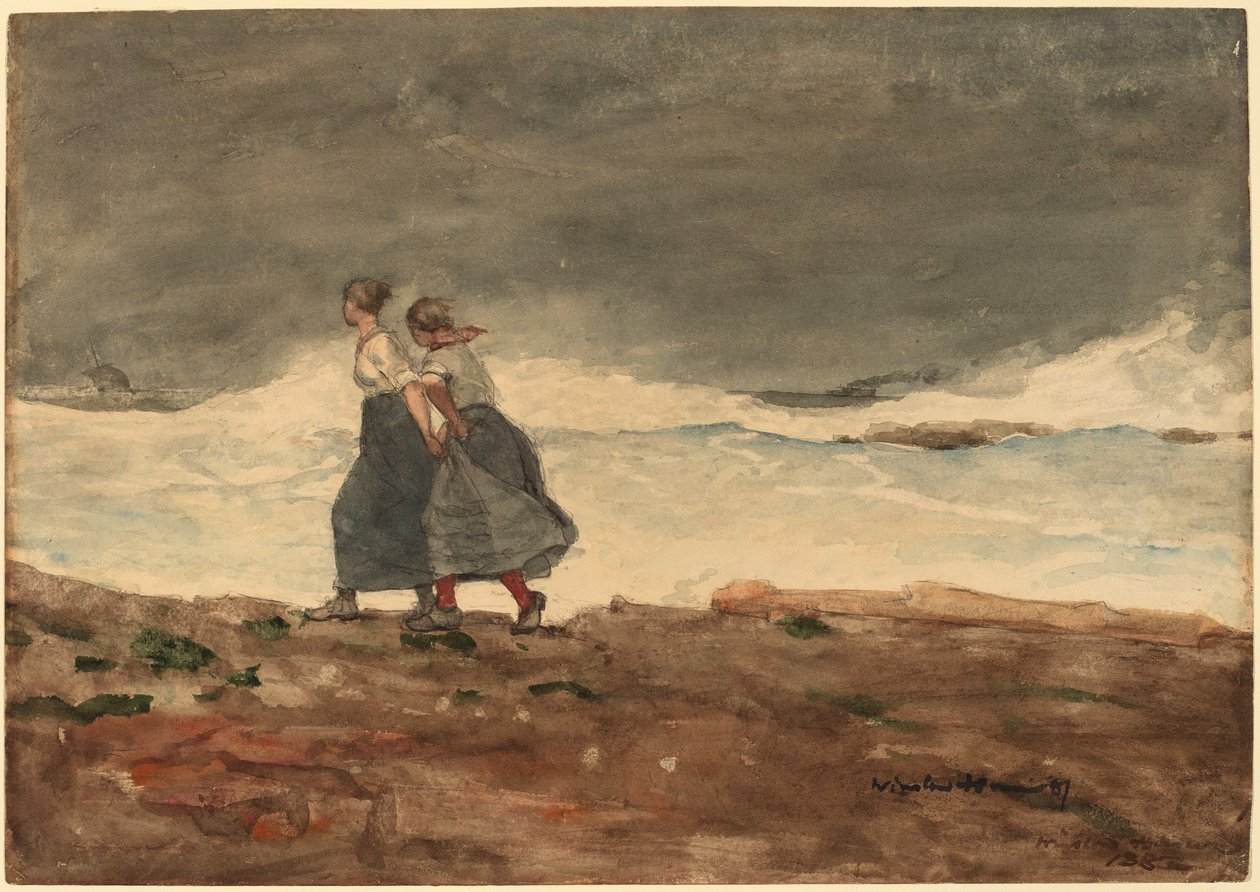 Fare af Winslow Homer