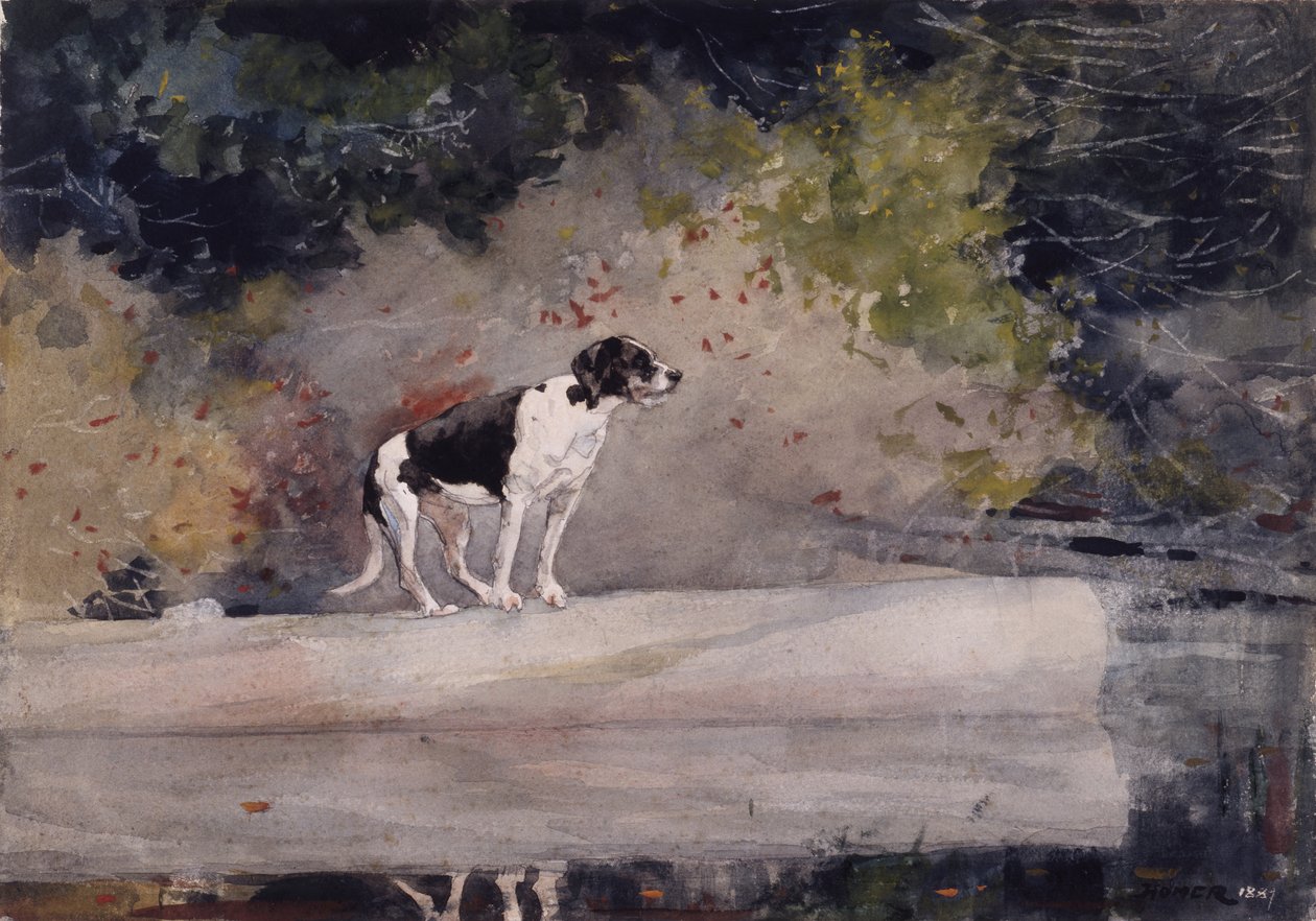 Hund på en træstamme, 1889 af Winslow Homer