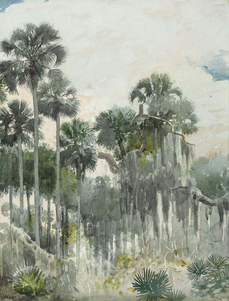 Florida Jungle af Winslow Homer