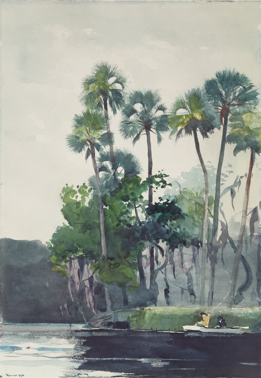 Homosassa-floden, 1904 af Winslow Homer