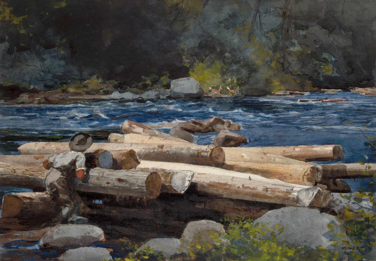 Hudson River af Winslow Homer