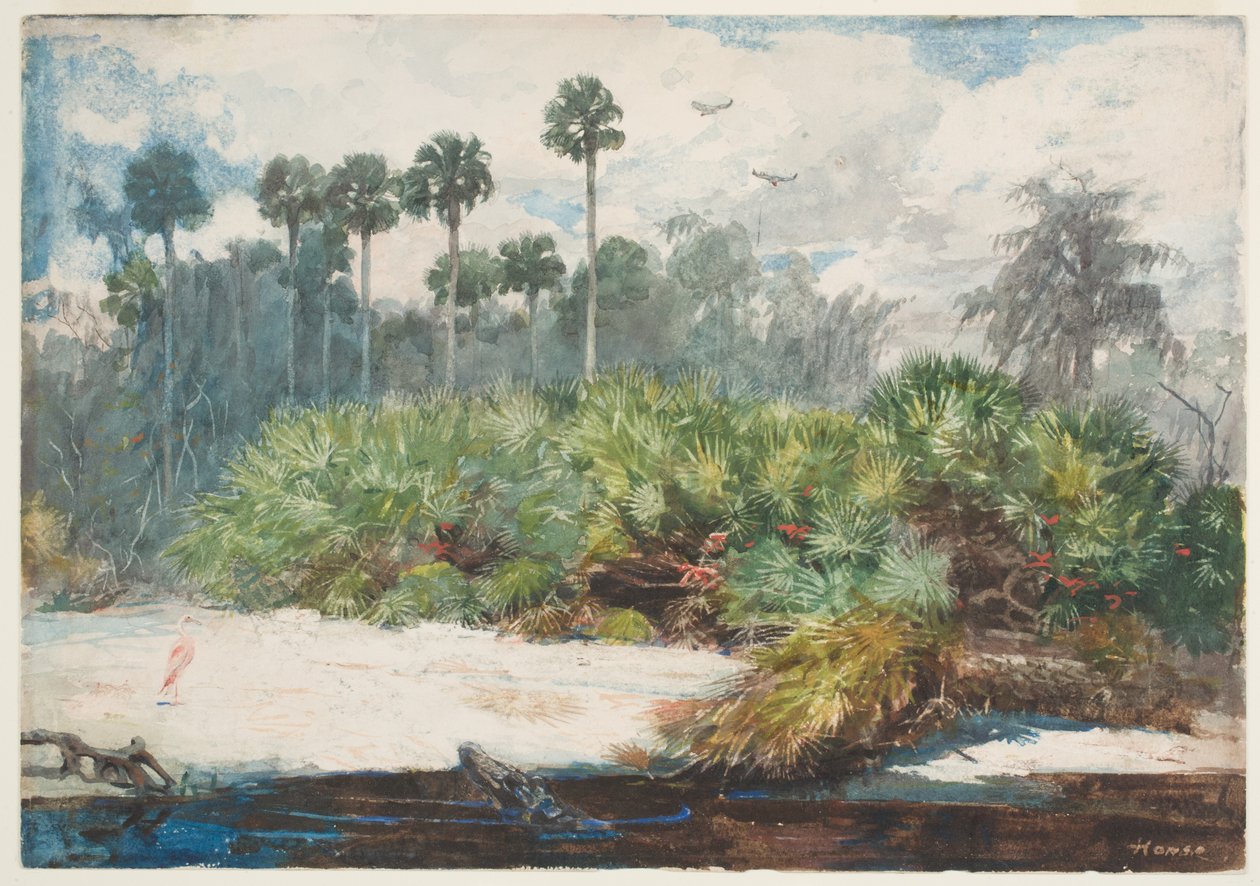 I en Florida Jungle (wc over grafit på papir) af Winslow Homer
