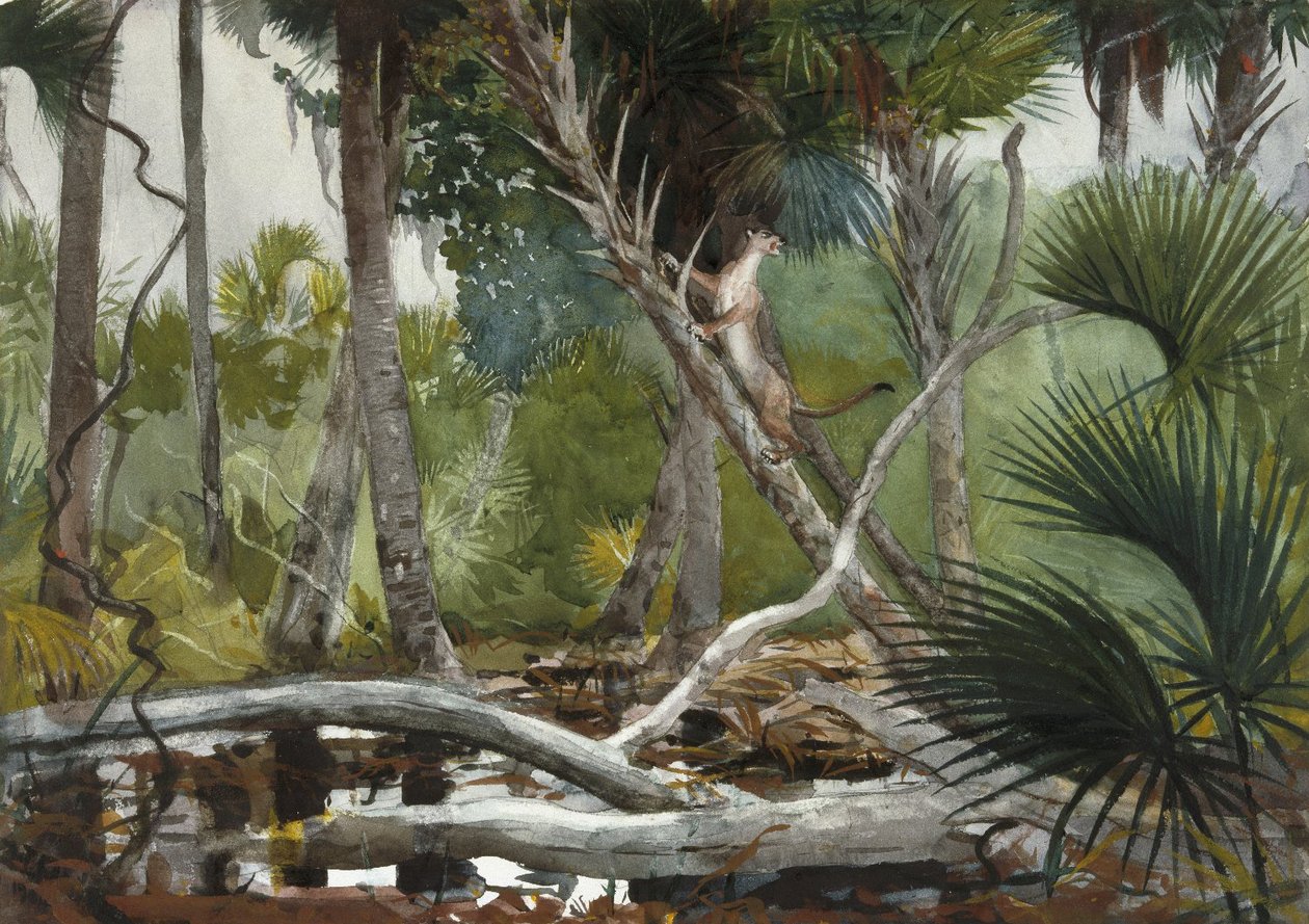 I junglen, Florida af Winslow Homer