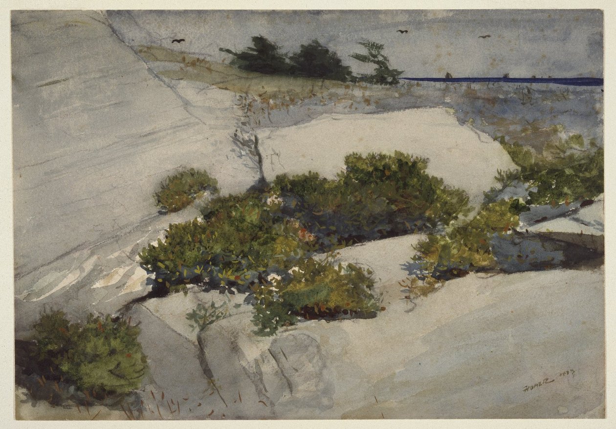 Maine -klipper af Winslow Homer