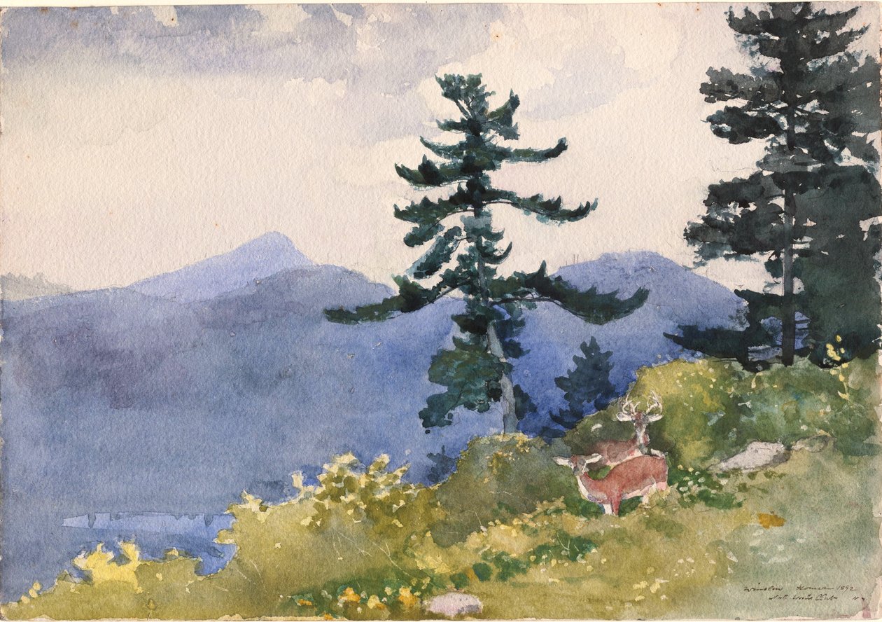 North Woods Club, Adirondacks af Winslow Homer