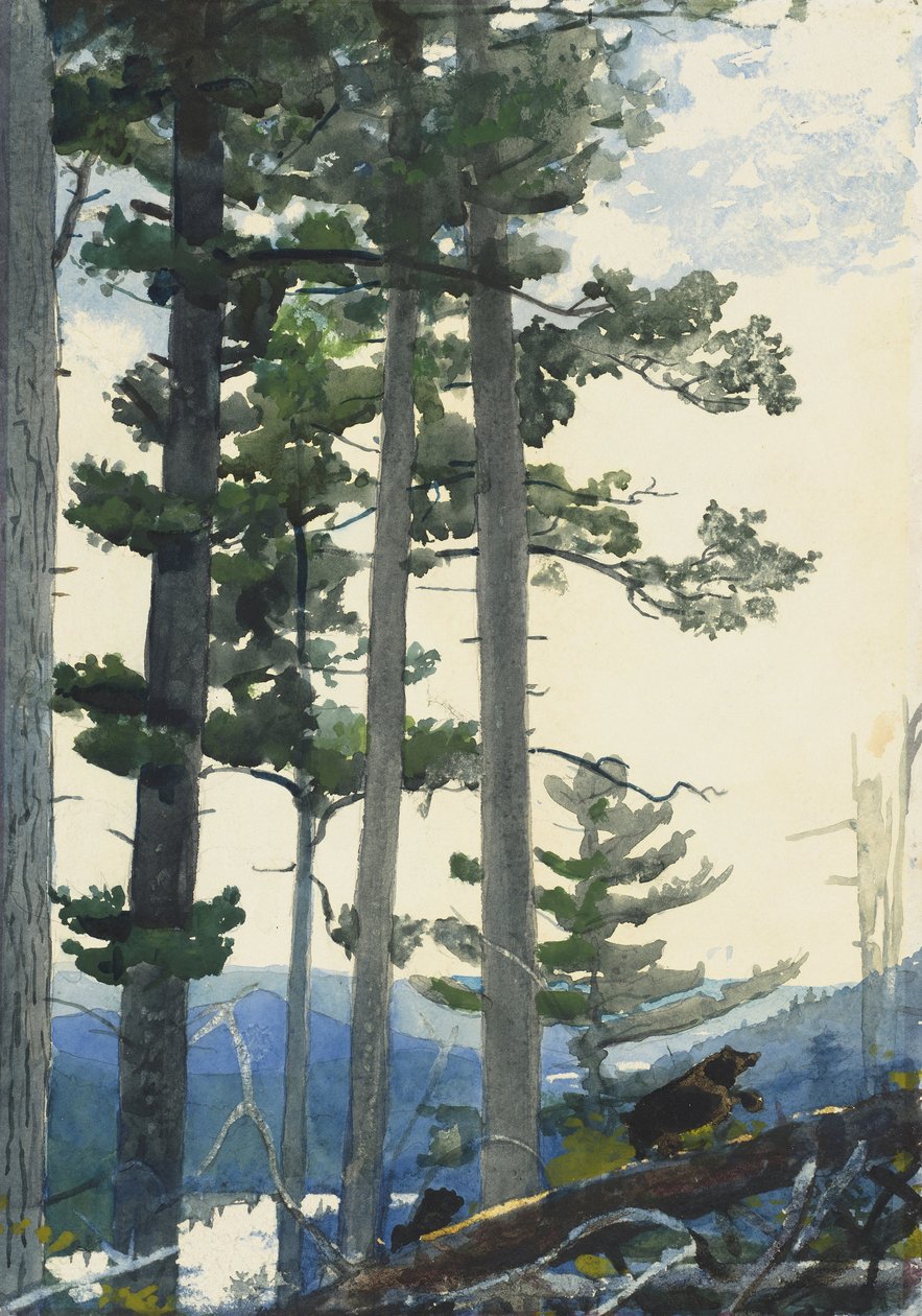 Gamle Nybyggere af Winslow Homer