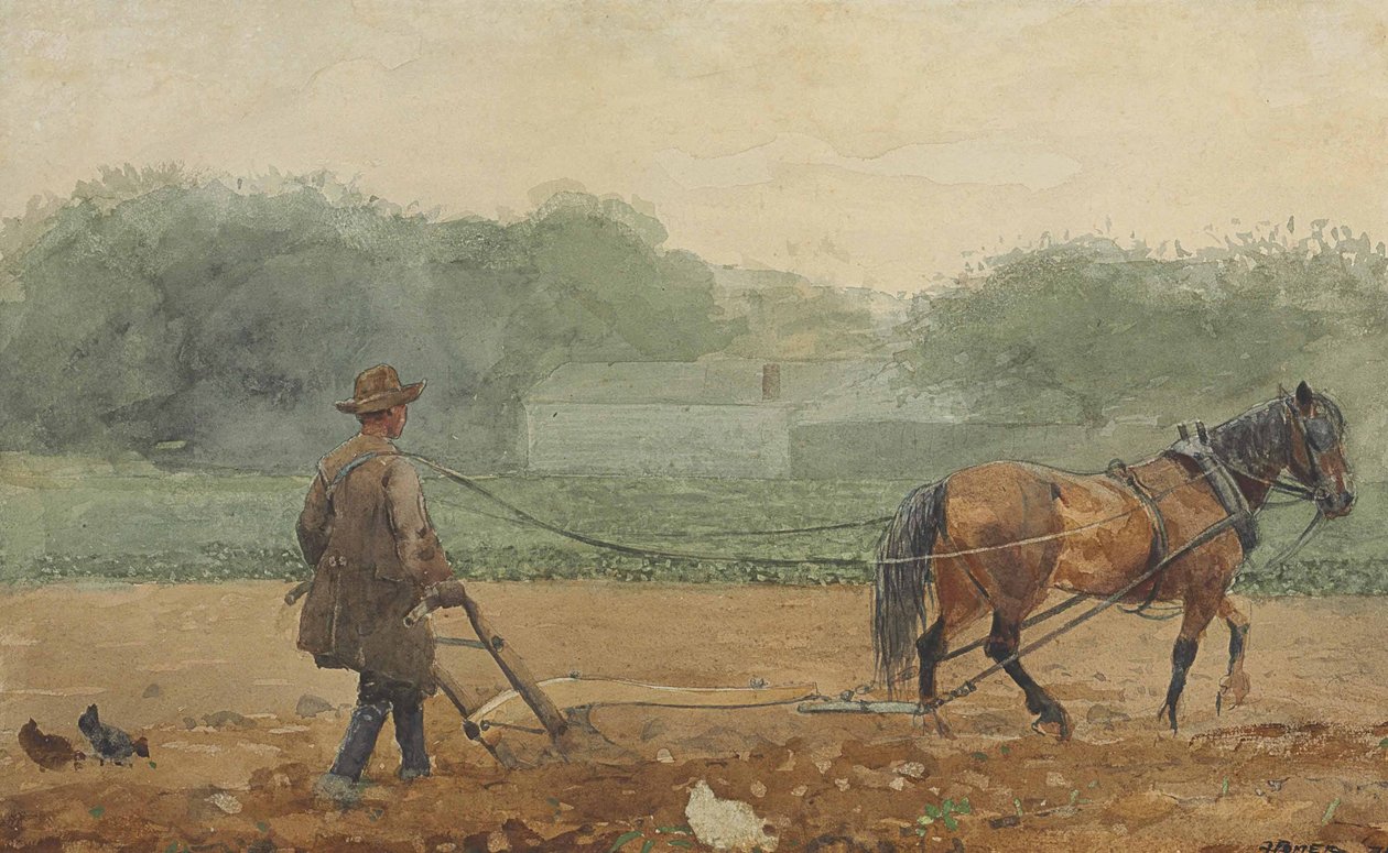 Plovmanden af Winslow Homer