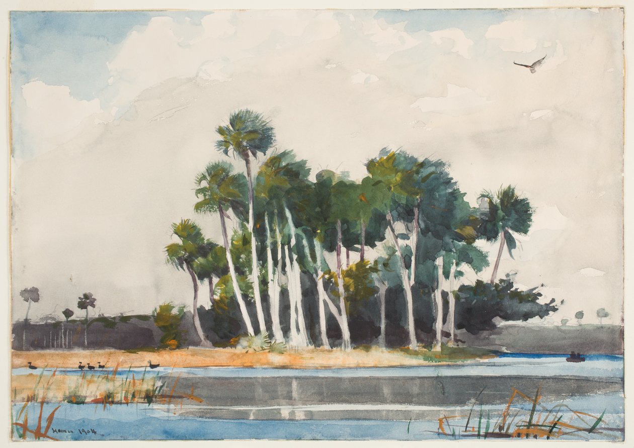 Tyrkiet musvågen (wc over grafit på papir) af Winslow Homer