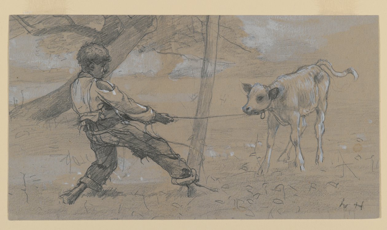 Den uregerlige kalv (grafit & kinesisk hvid på vævet papir) af Winslow Homer