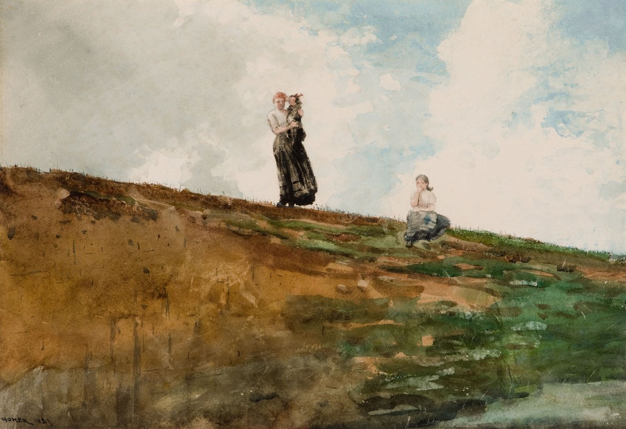 Ser fra klipperne af Winslow Homer