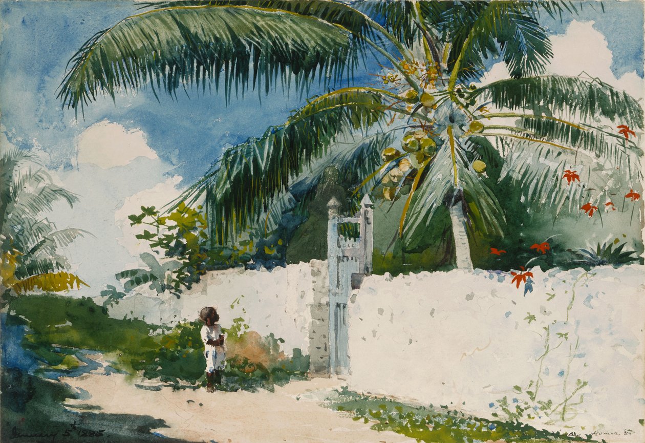 En have i Nassau af Winslow Homer