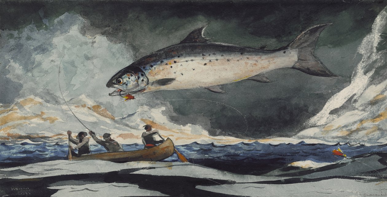 En god pool, Saguenay-floden, 1895 af Winslow Homer