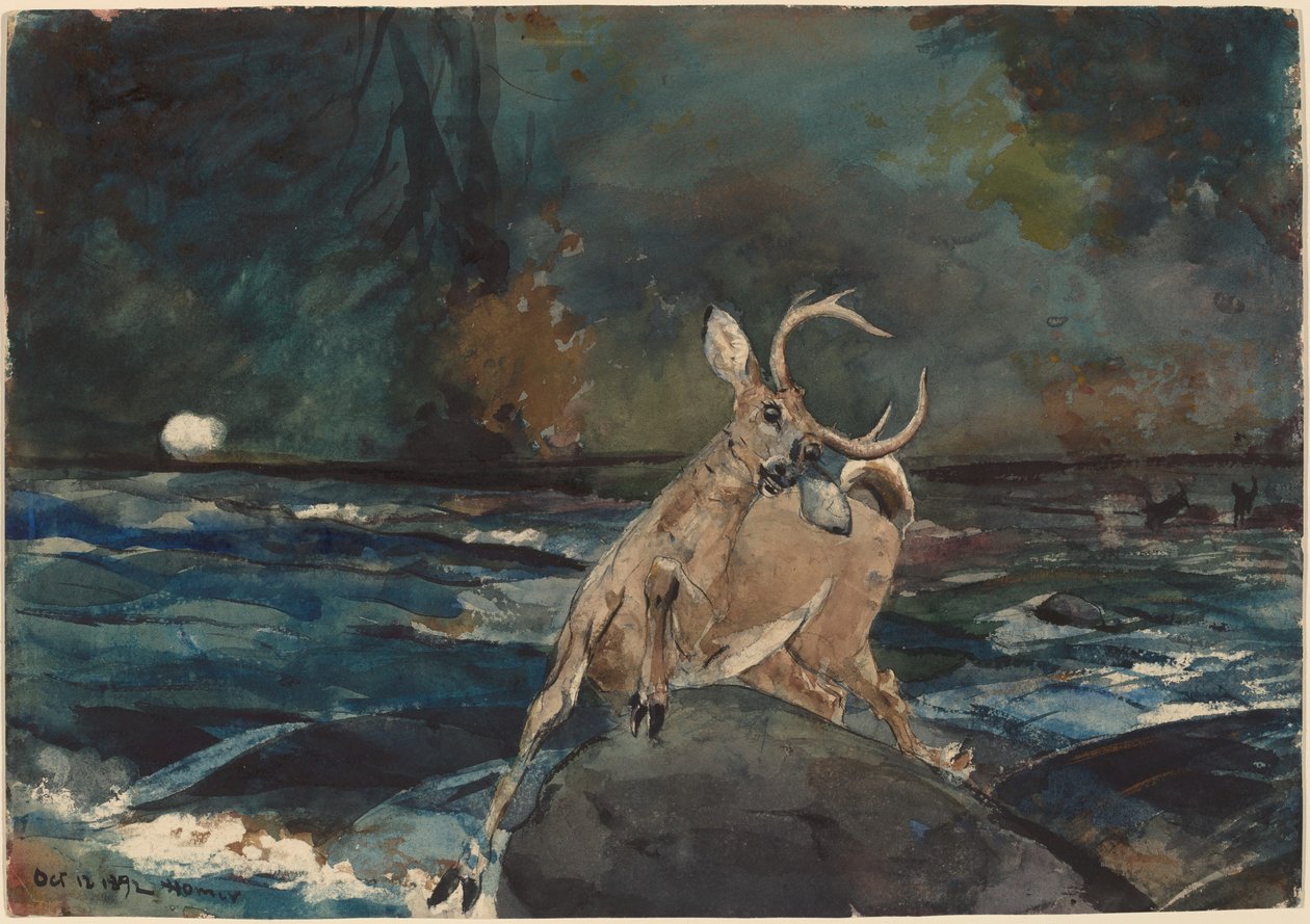 Et godt skud, Adirondacks af Winslow Homer