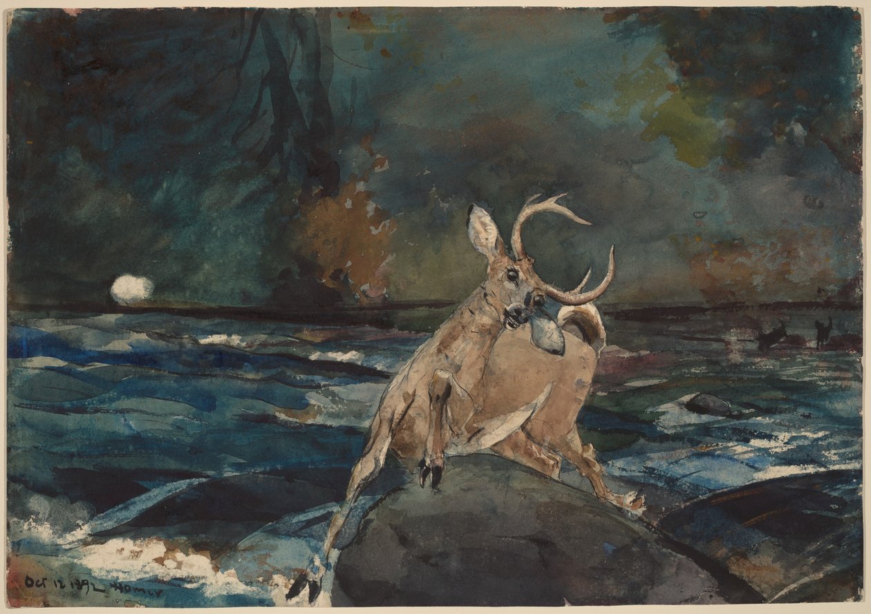 Et godt billede, Adirondacks af Winslow Homer