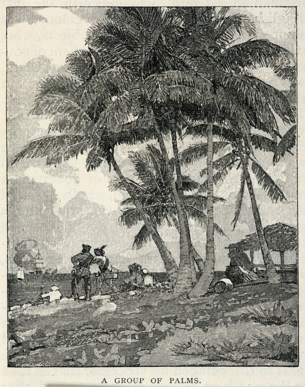 En gruppe palmer, fra The Century Magazine, februar 1887 af Winslow Homer