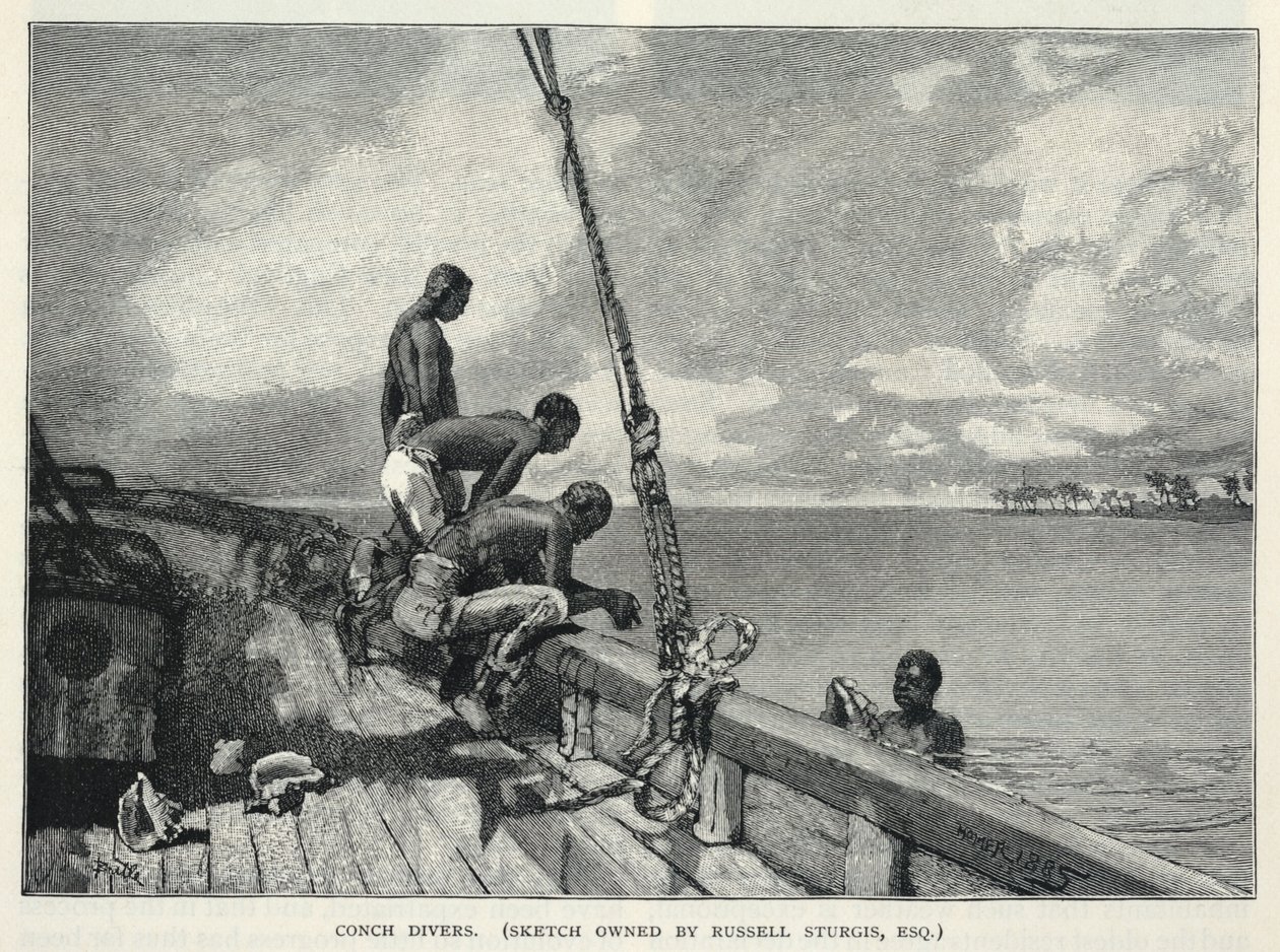 En orkan, dyrkning af hamp, på Abaco Island, en blomstersælger, konkyliedykkere, fra The Century Magazine, februar 1887 af Winslow Homer