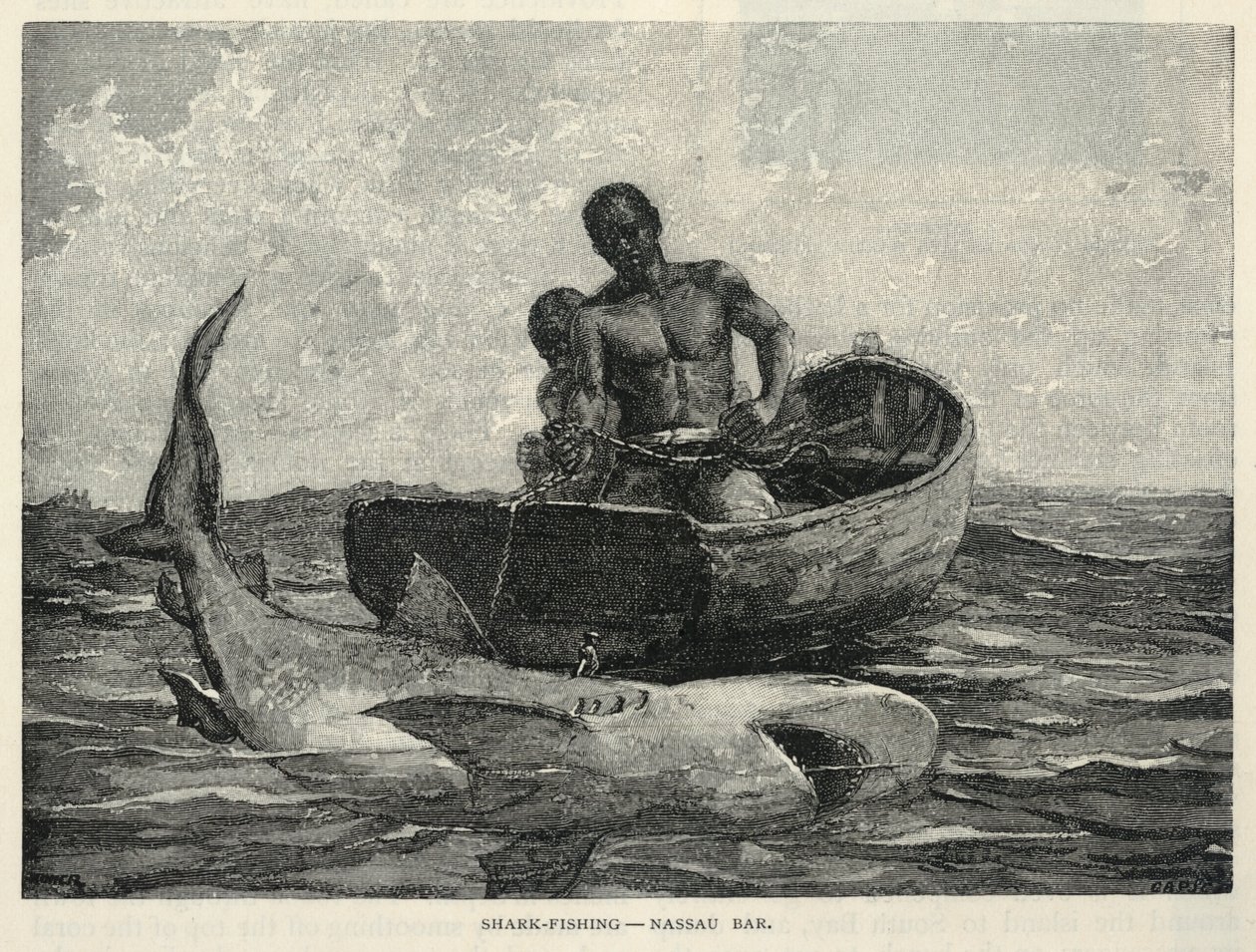 En kræmmer, en Nassau Gateway, hajfiskeri - Nassau Bar, fra The Century Magazine, februar 1887 af Winslow Homer