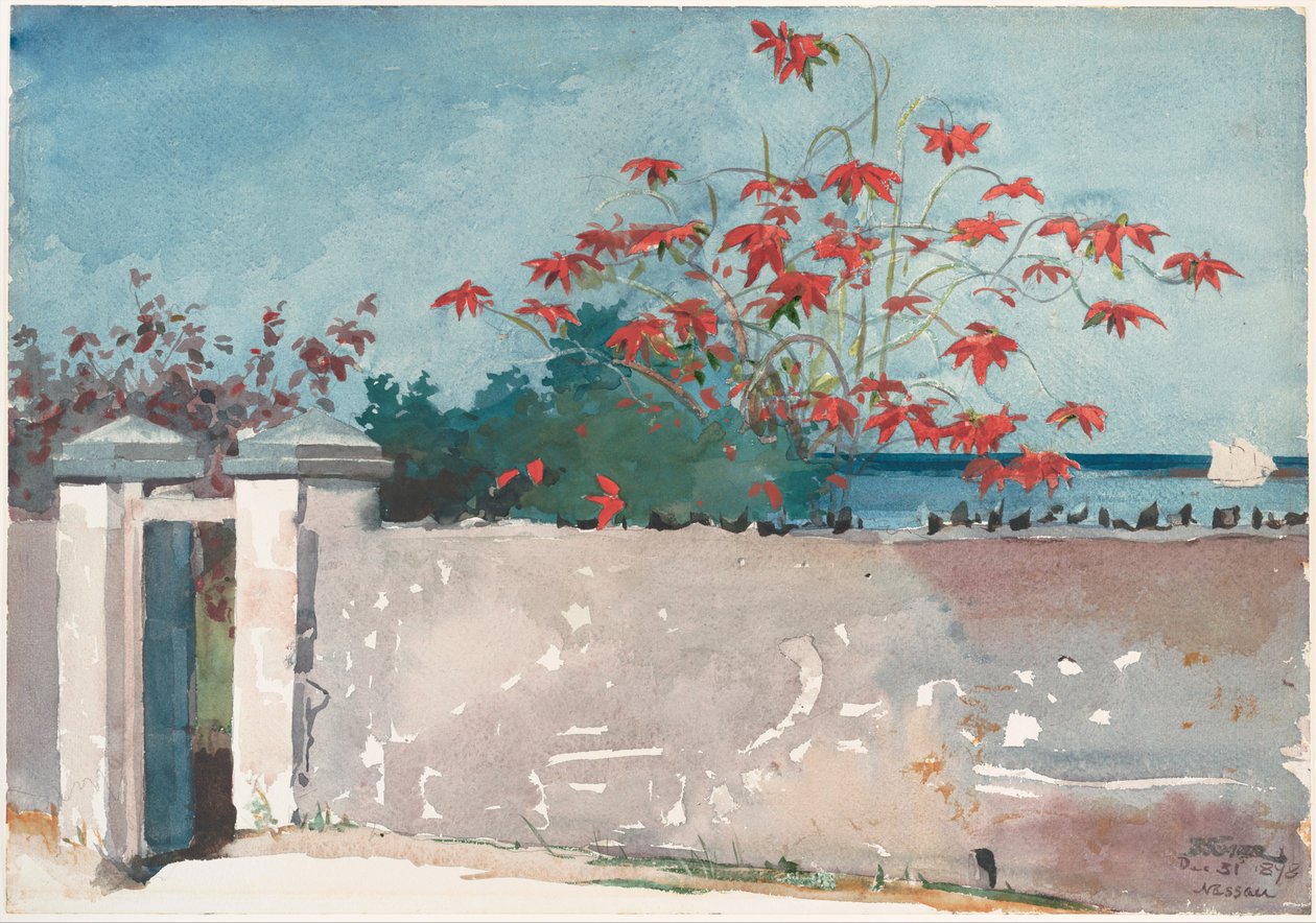 En mur, Nassau af Winslow Homer