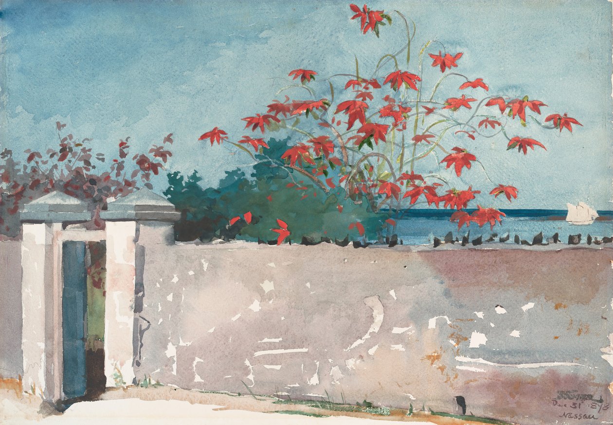 En mur, Nassau, 1898. af Winslow Homer
