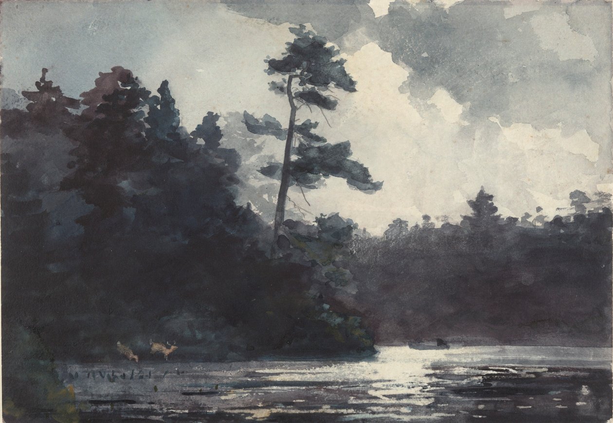 Adirondack søen af Winslow Homer