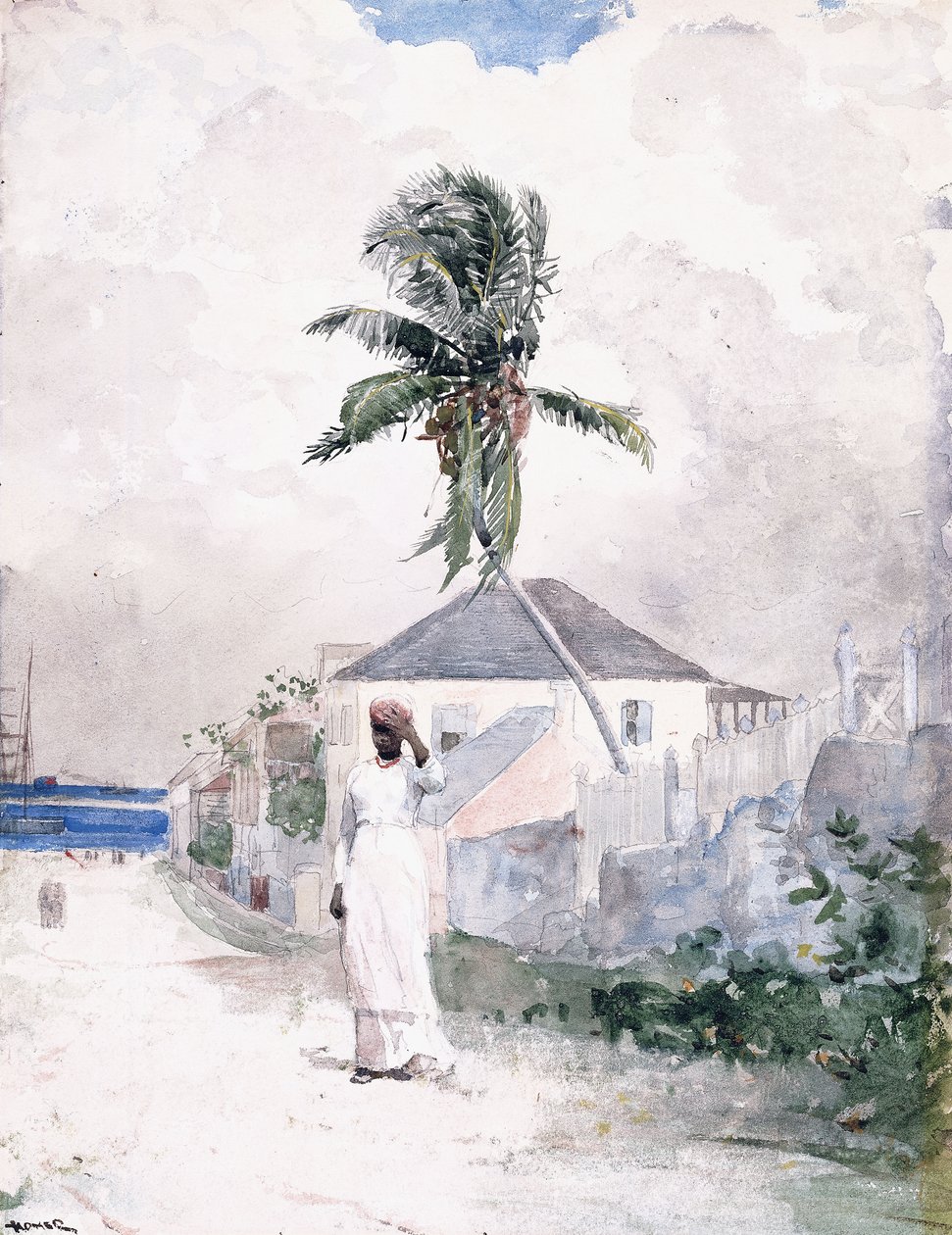 Langs vejen, Bahamas, 1885 af Winslow Homer