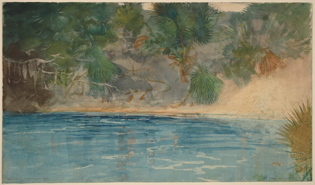 Blue Spring, Florida af Winslow Homer