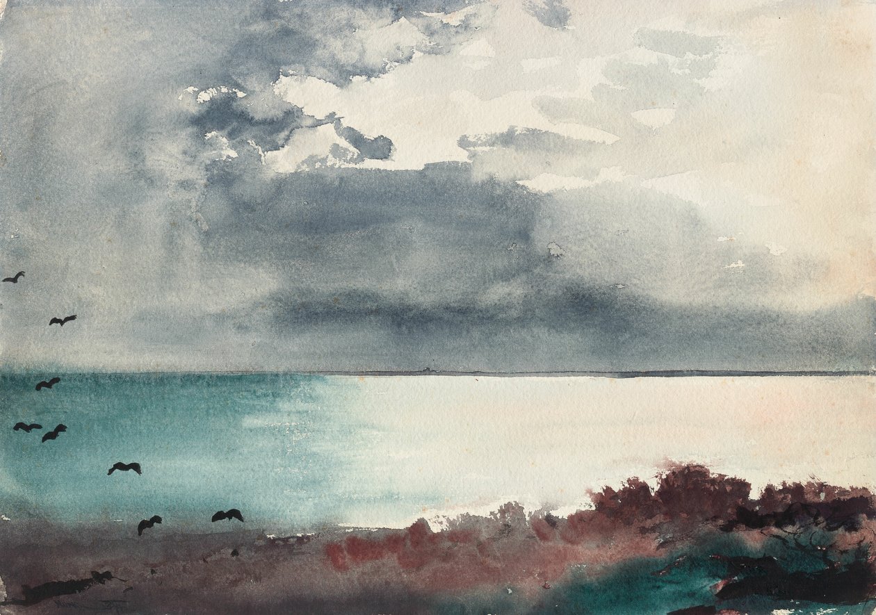 Storm i udbrud, Maines kyst af Winslow Homer