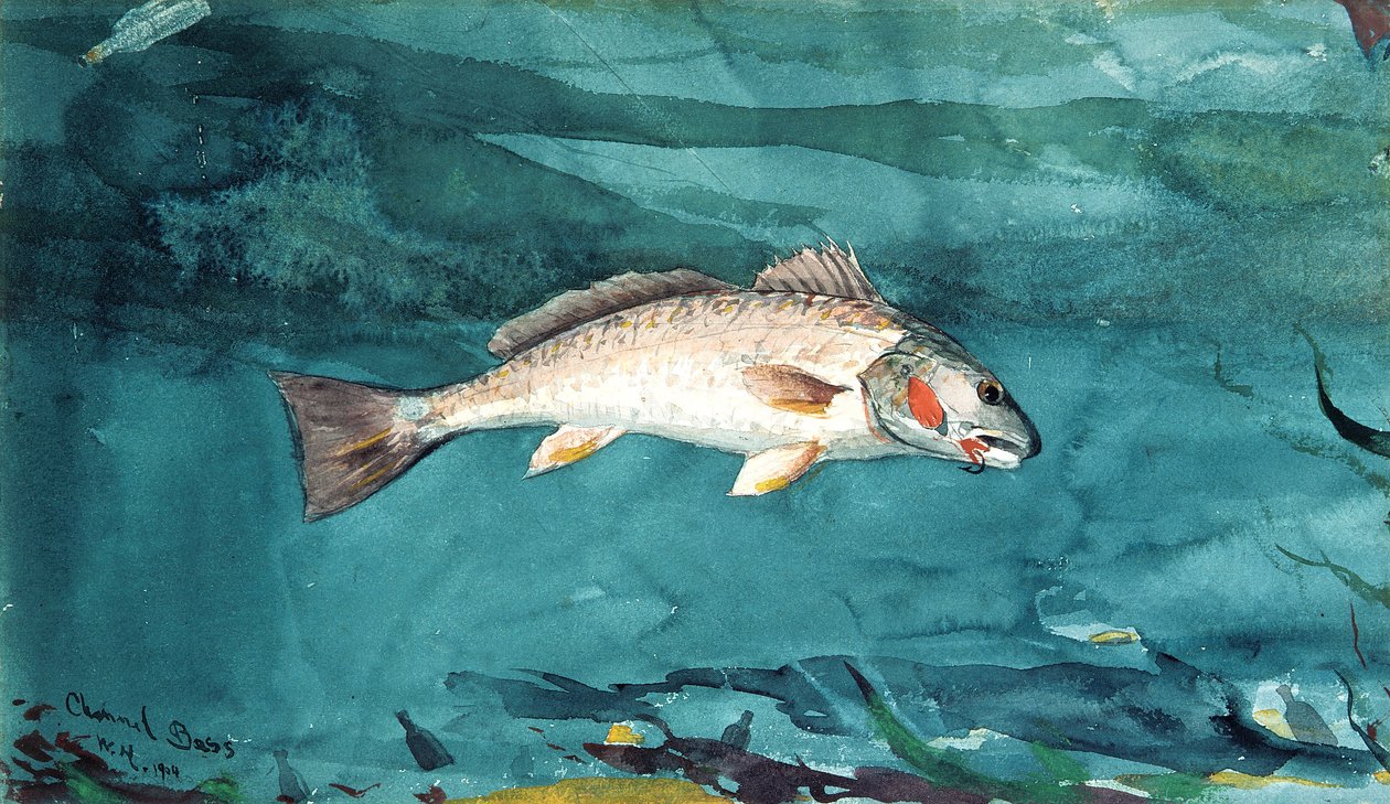 Kanal bas af Winslow Homer