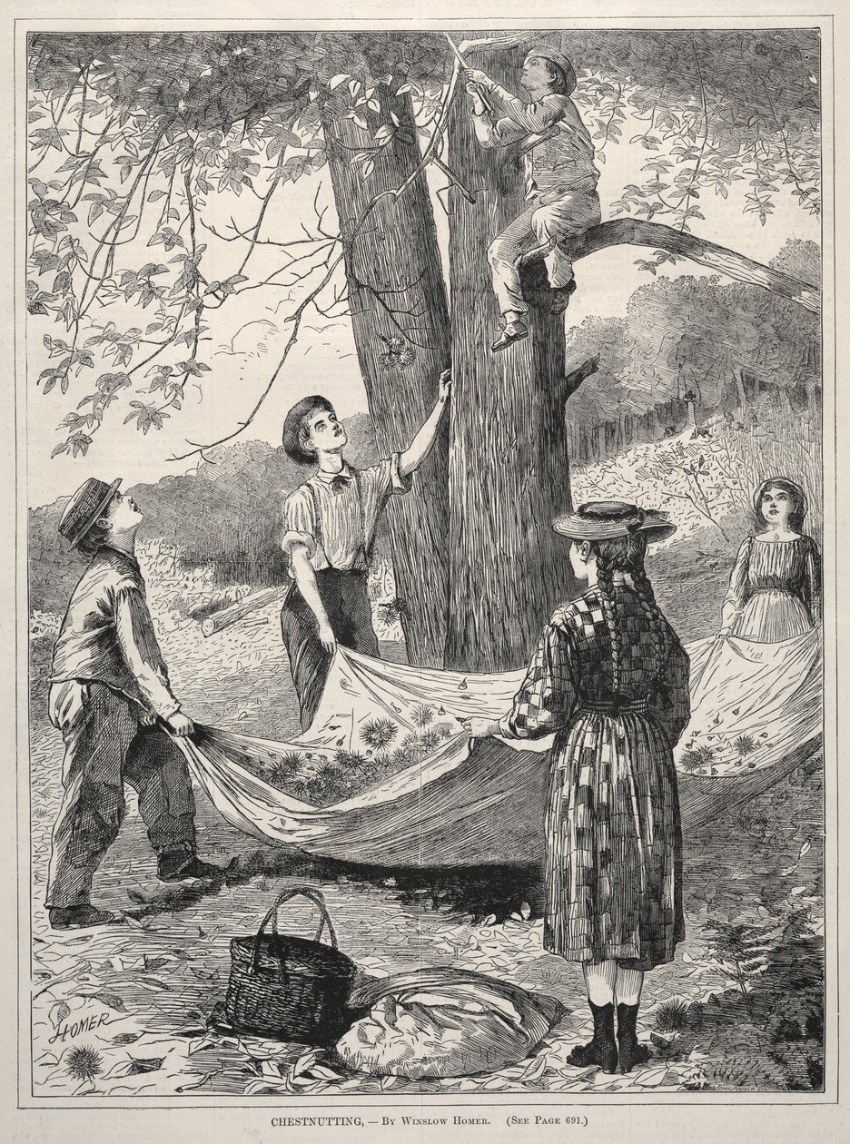 Chestnutting af Winslow Homer