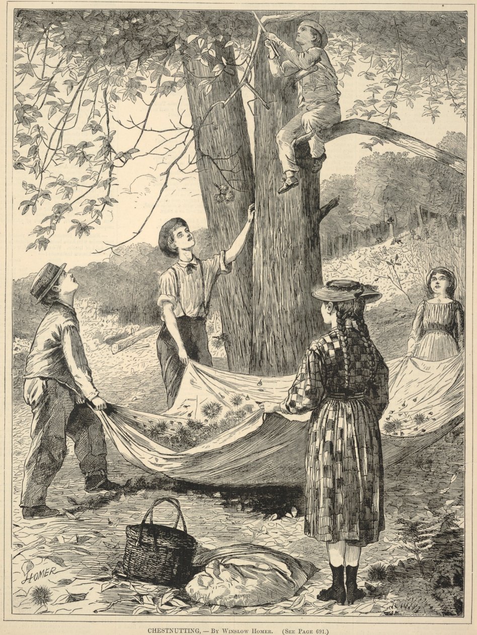 Chestnutting, fra Every Saturday: An Illustrated Journal of Choice Reading, 29. oktober 1870 af Winslow Homer