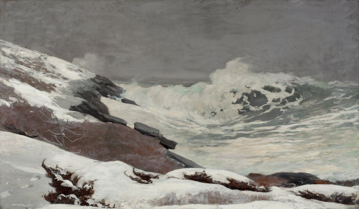 Kyst om vinteren, 1892 af Winslow Homer