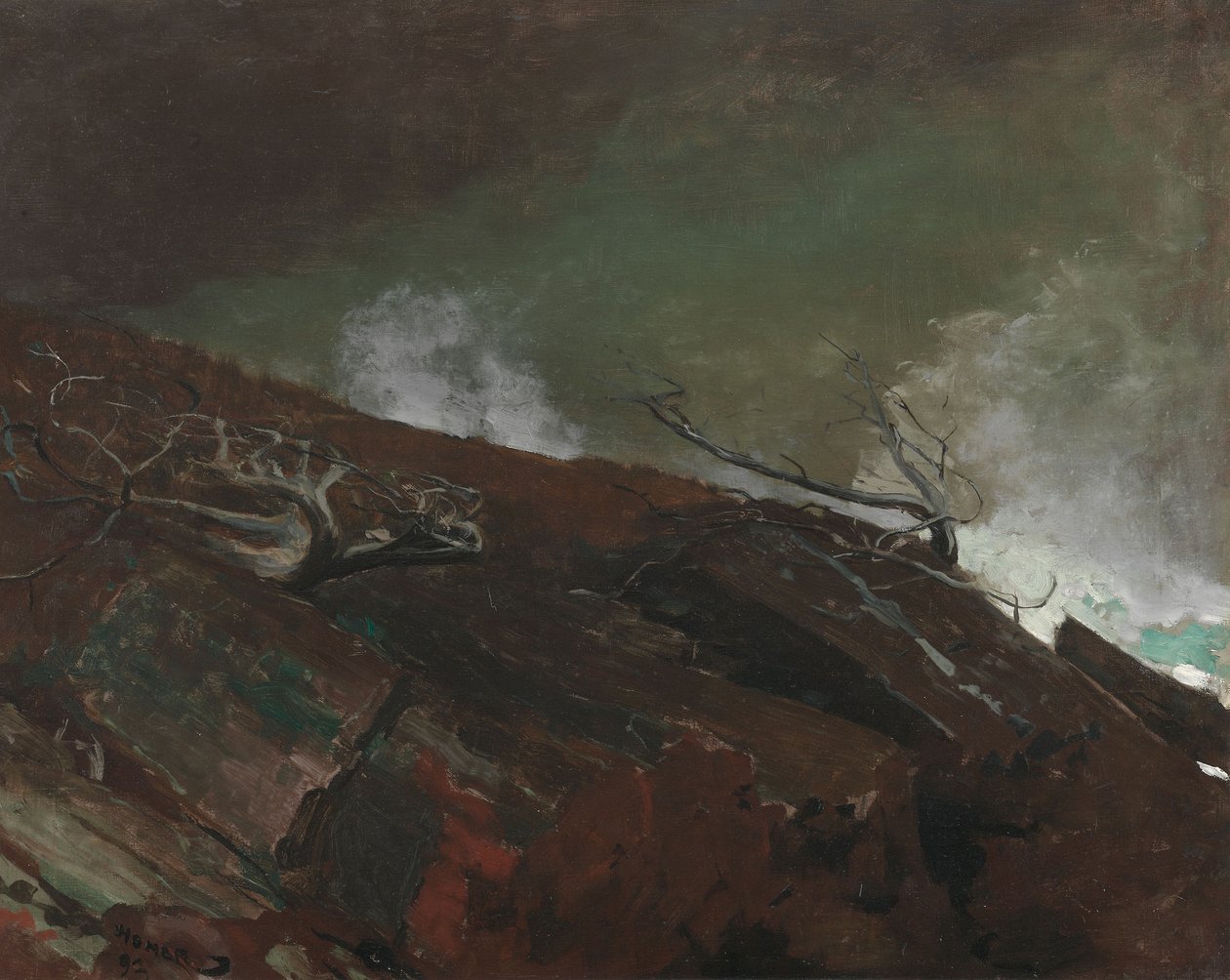Maines kyst af Winslow Homer
