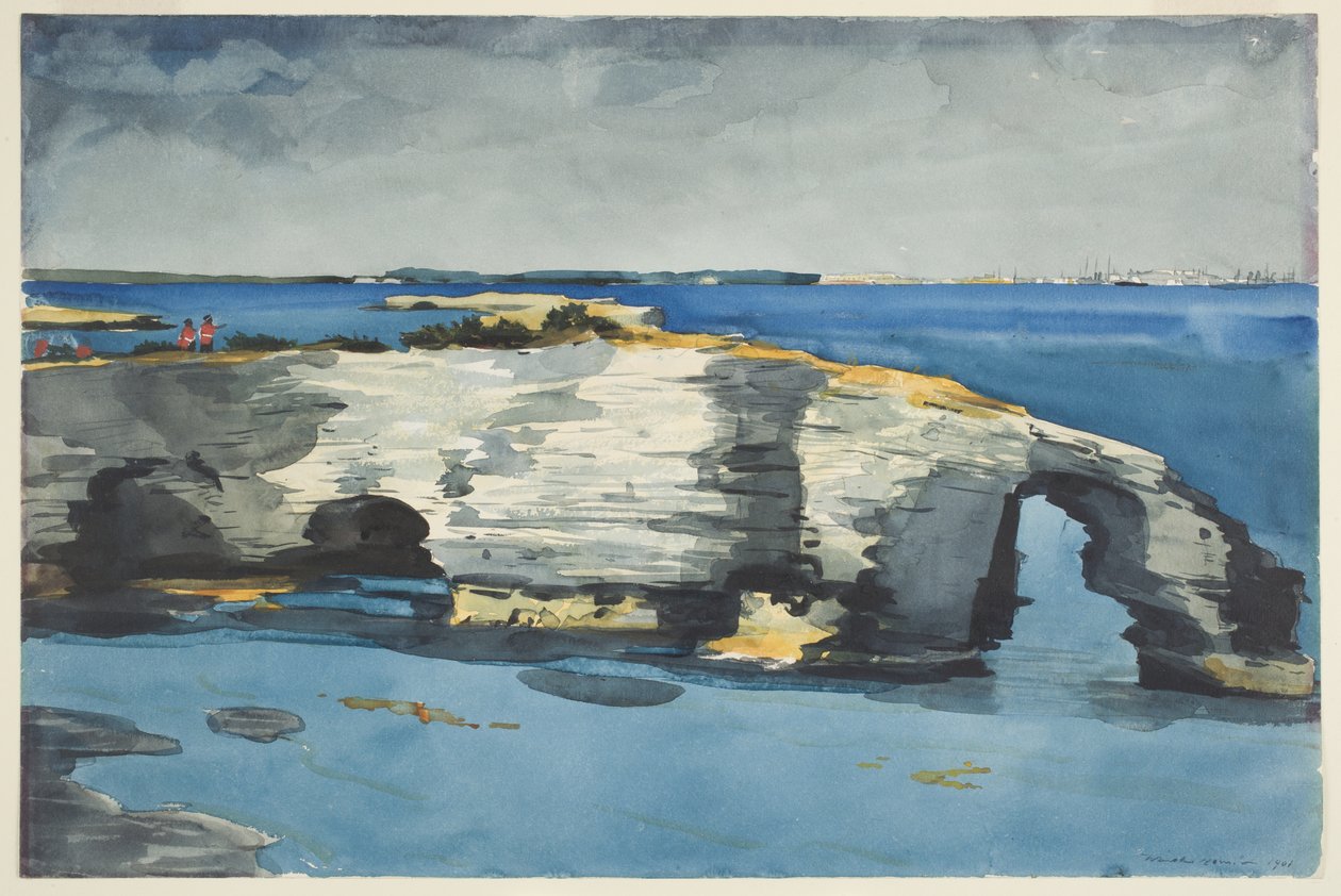Koraldannelse af Winslow Homer