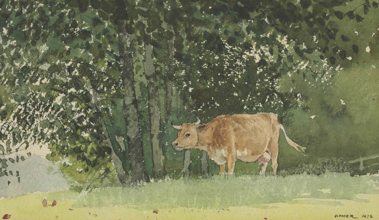 Ko på græs af Winslow Homer