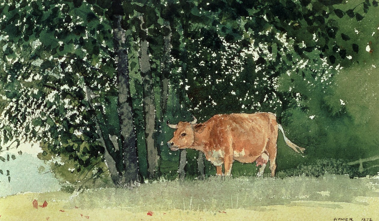 Ko på græs, 1878 af Winslow Homer