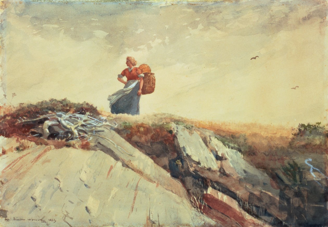 Ned ad klippen, 1883 af Winslow Homer