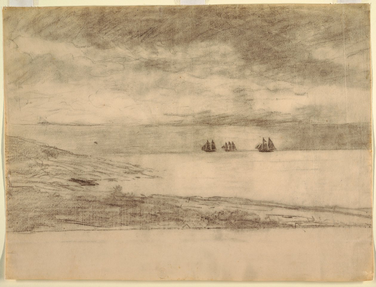 Tegning, Prout