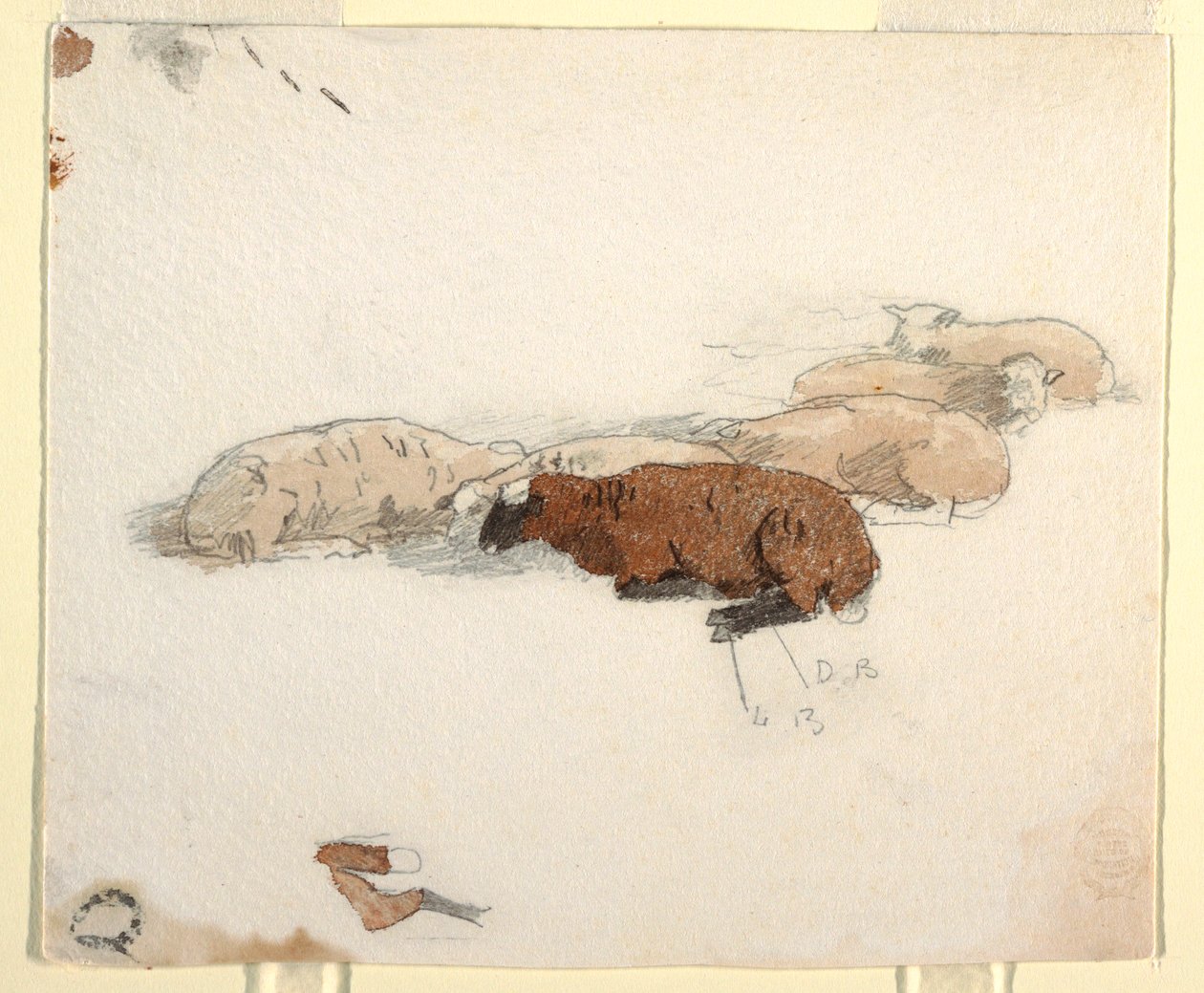 Tegning, hvilende får, 1878 af Winslow Homer