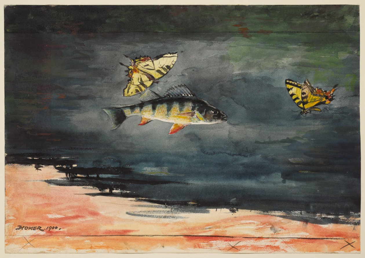 Fisk og sommerfugle af Winslow Homer